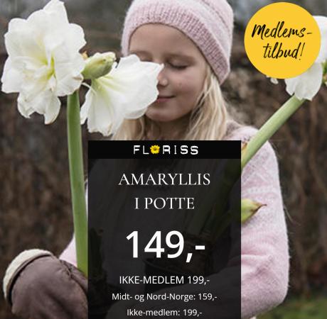 Floriss-katalog | Floris Ukens tilbud! | 18.11.2022 - 4.12.2022