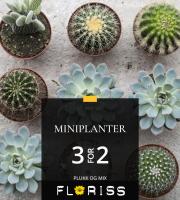 Floriss-katalog | Miniplanter 3 for 2! | 18.9.2023 - 1.10.2023