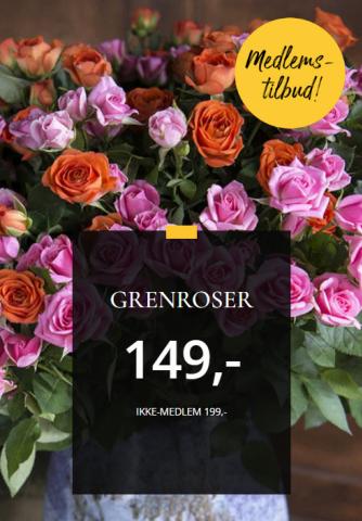 Floriss-katalog i Oslo | Ukens tilbud | 2.10.2023 - 16.10.2023