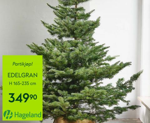 Tilbud fra Bygg og hage i Oslo | Hageland Jul Tilbud! de Hageland | 2.12.2022 - 24.12.2022