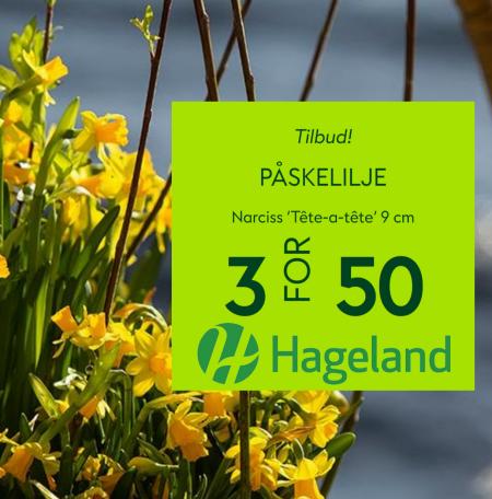 Hageland-katalog | Hageland Tilbud! | 15.3.2023 - 29.3.2023