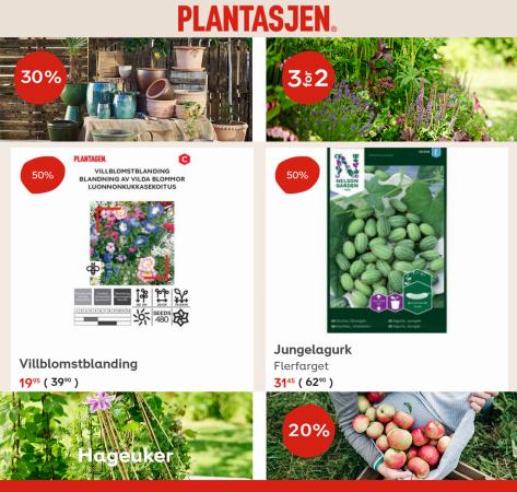Plantasjen-katalog | Plantasjen Kundeavis! | 9.8.2022 - 23.8.2022