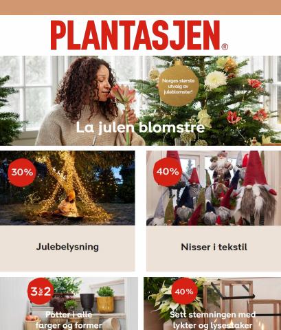 Tilbud fra Hjem og møbler i Oslo | La julen blomstre de Plantasjen | 28.11.2022 - 11.12.2022