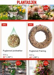 Plantasjen-katalog i Trondheim | Plantasjen Fuglemat 30%! | 20.3.2023 - 2.4.2023