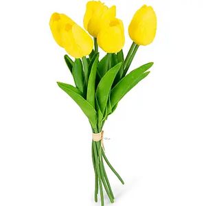 Tilbud: Tulipan kr 59,9 på Europris