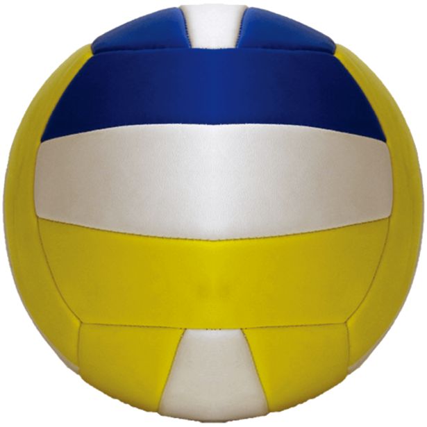Tilbud: Volleyball kr 100