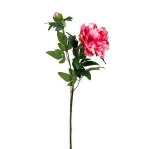 Tilbud: Blomst Peon rosa 65 cm kr 149 på Kremmerhuset