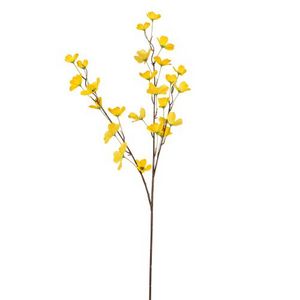 Tilbud: Blomst Kornell 100 cm kr 129 på Kremmerhuset
