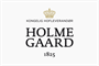Logo Holmegaard